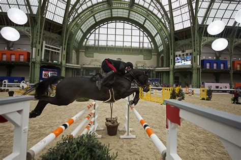 saut hermes 2017 live|Saut Hermès Day 1 Round Up: Full Video, Epic French .